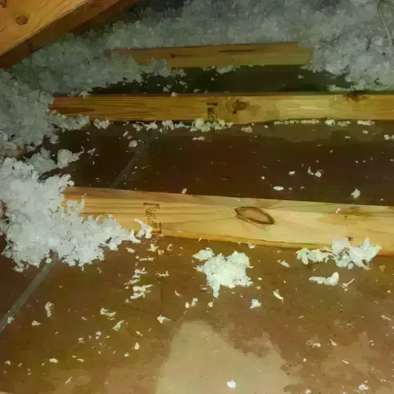 Attic Water Damage in Huntington, WV