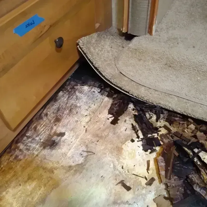 Wood Floor Water Damage in Huntington, WV